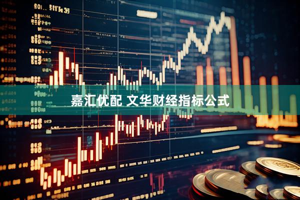 嘉汇优配 文华财经指标公式