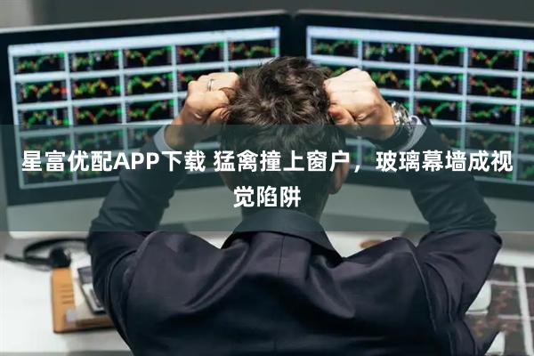 星富优配APP下载 猛禽撞上窗户，玻璃幕墙成视觉陷阱